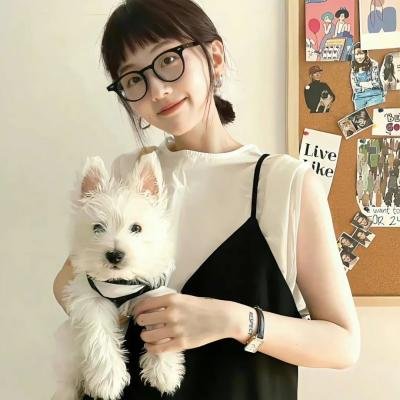 南波万的聚会第二季